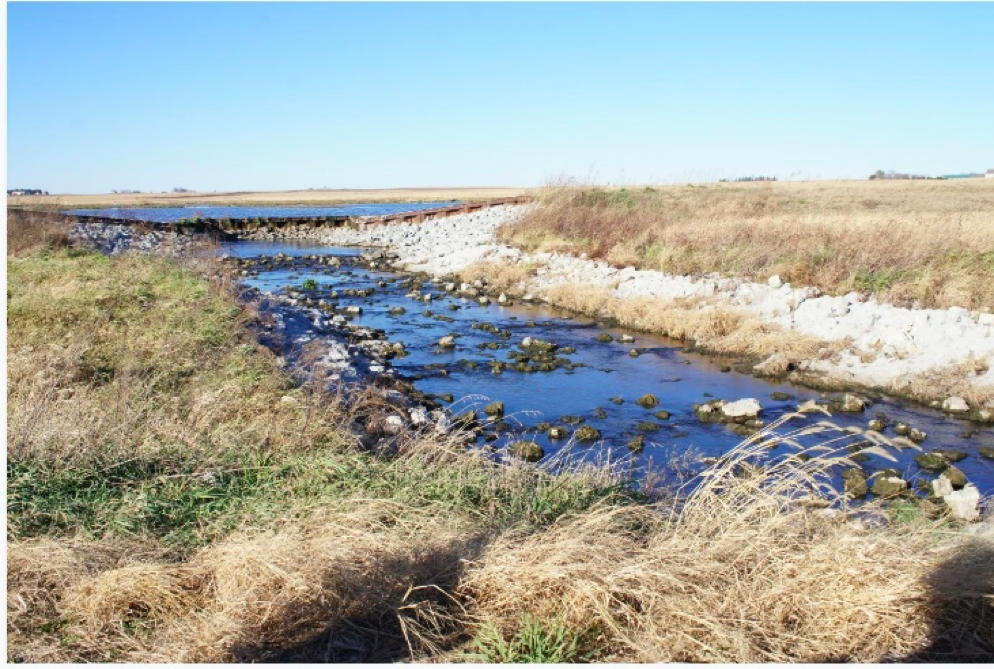 Wetland - Natural Water Filter | Iowa Agriculture Water Alliance